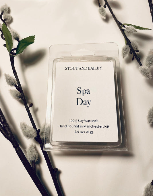 Spa Day Soy Wax Melt | Hand-poured Soy Wax Melt | Spring Wax Melt | 100% Soy Wax Melt